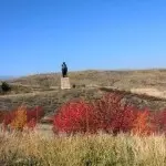 天宇国，宇哥