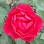 信明72