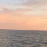 停播。11
