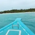沁然宝宝