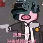 鹏哥91