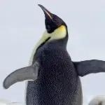 嗨@》