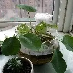昵称违规，请重新修改