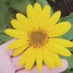 你深我潜