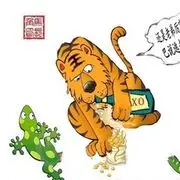 三龙戏猪1号