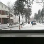 醉了的媳妇胖宝