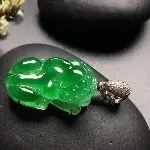 枫树~