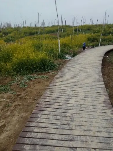边疆老农的主播照片