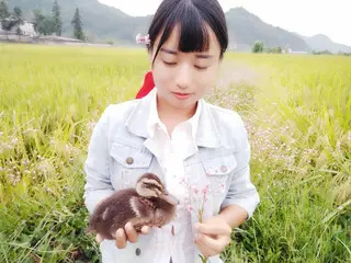 今生爱，来生续的主播照片