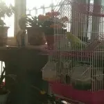 这一天天的@