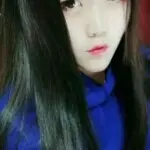 翟树森