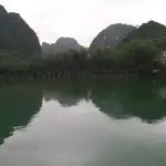 🌻孤鹰随心🍑🍊