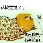 我家，那小谁👈