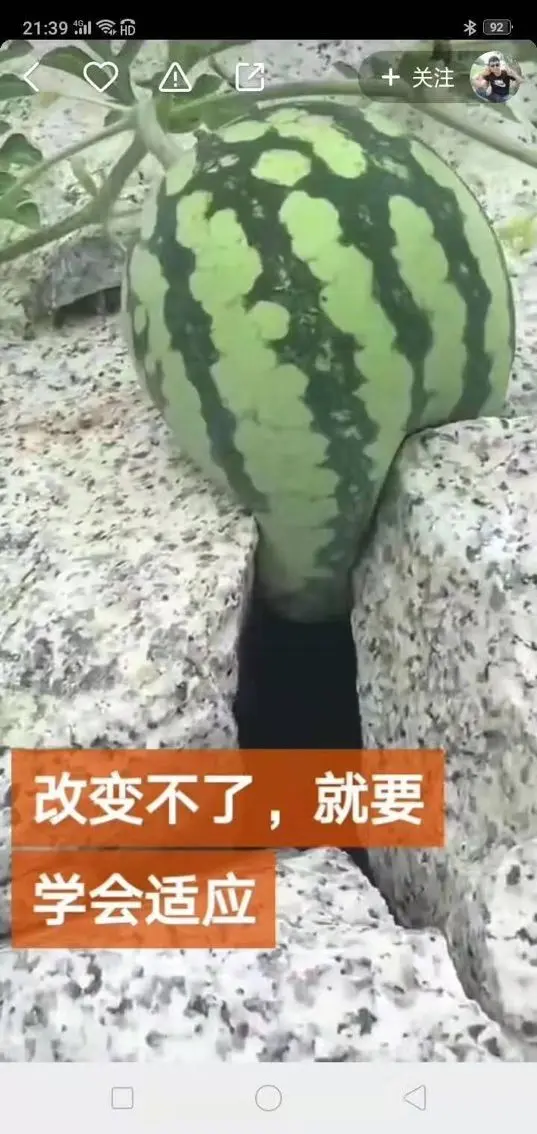 都已过期的主播照片