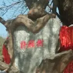 吸血鬼皇