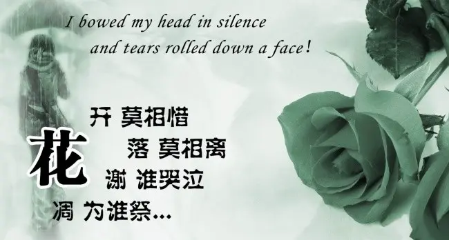 √丶寳貝幻想的主播照片