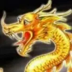 小视频好好看