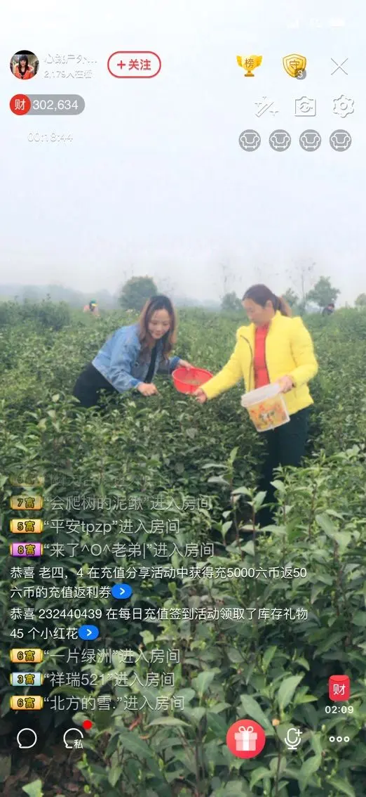 心跳复出代购茶叶的主播照片