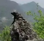 【快乐人生】の