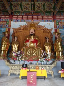 男神（五哥）主播照片
