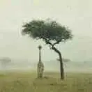 死磕f