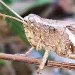 放手也是一种洒脱