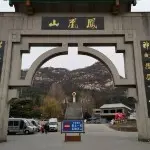 √鹏歌√