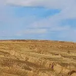 8897大帝龙哥
