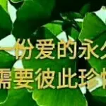 8838（西北）🙏