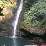 *#！✘^O^