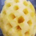 古土人