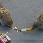 💔忆苦思甜💔