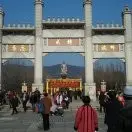 惜恩8