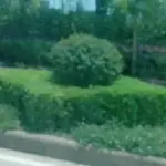 💞开心平安💞