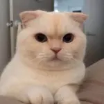 🕐12点