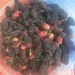 昵称违规，请重新修改