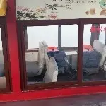 二馬戶