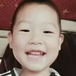 自由飞翔。陈