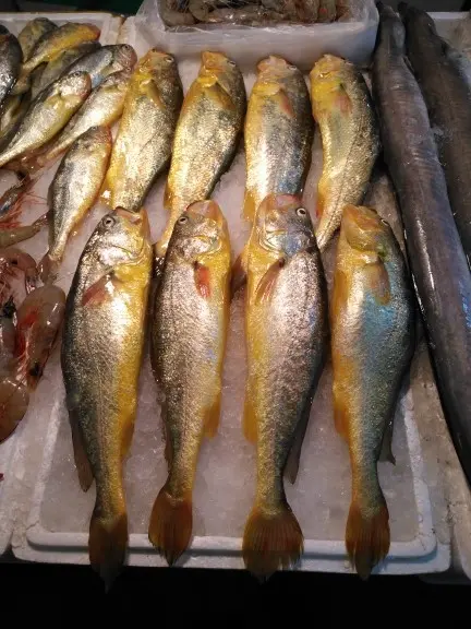 红豆大哥哥的主播照片