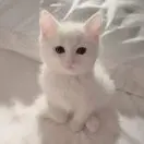 小云9i