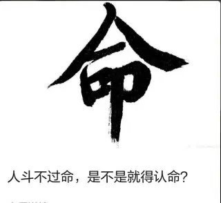 ＊|▍＊梦里＊啥都有的图片