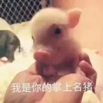 洗衣粉泡
