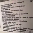 王振6x