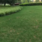 洋洋💫