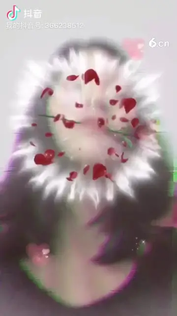 玫瑰花--<-<