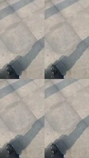 轮滑社团