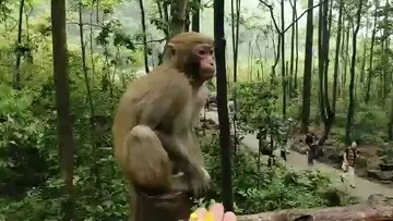 😄