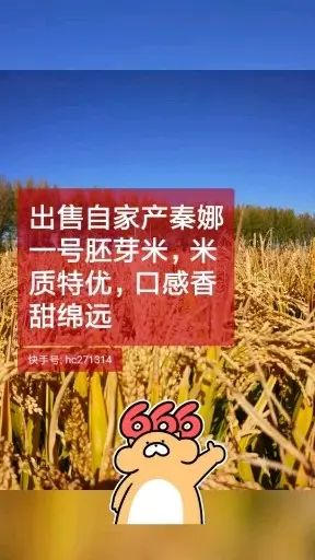 卖大米卖大米