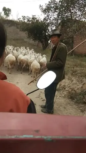 回家