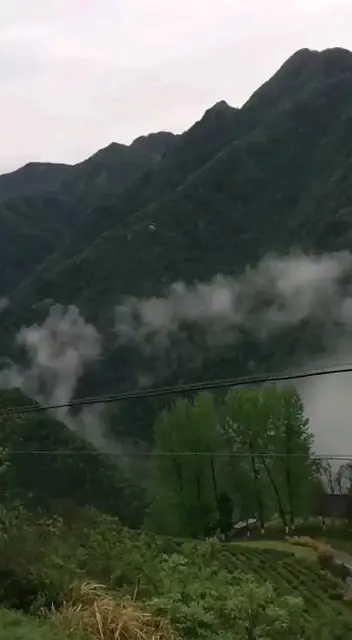 小江到此一拍